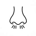 Bei einer metabolischen Azidose kann es zu Problemen mit der Atmung kommen.